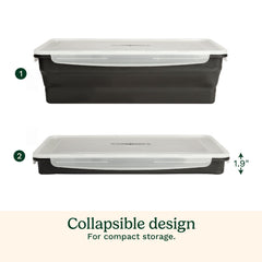 XL Collapsible Marinade Container